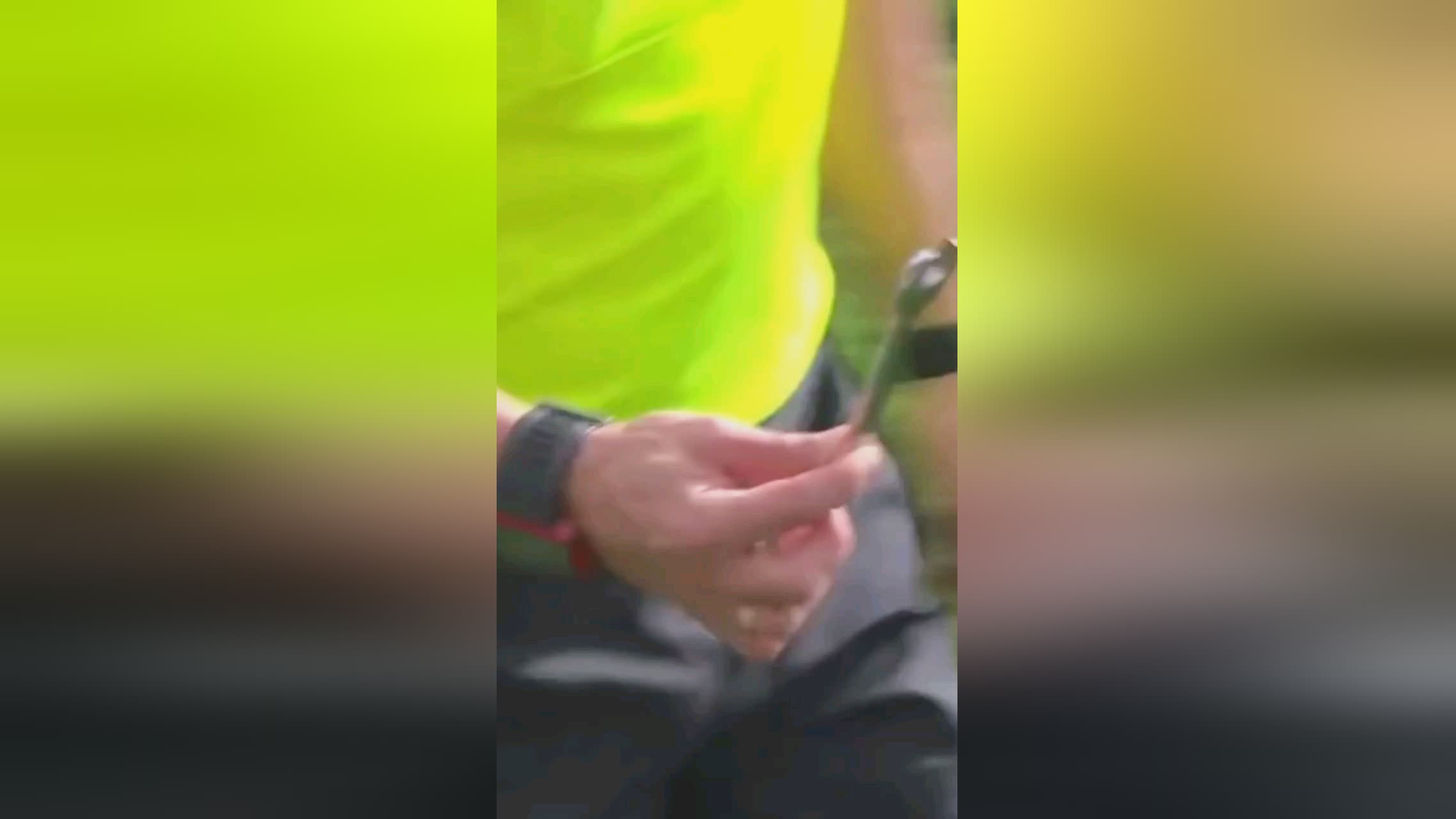 素质
